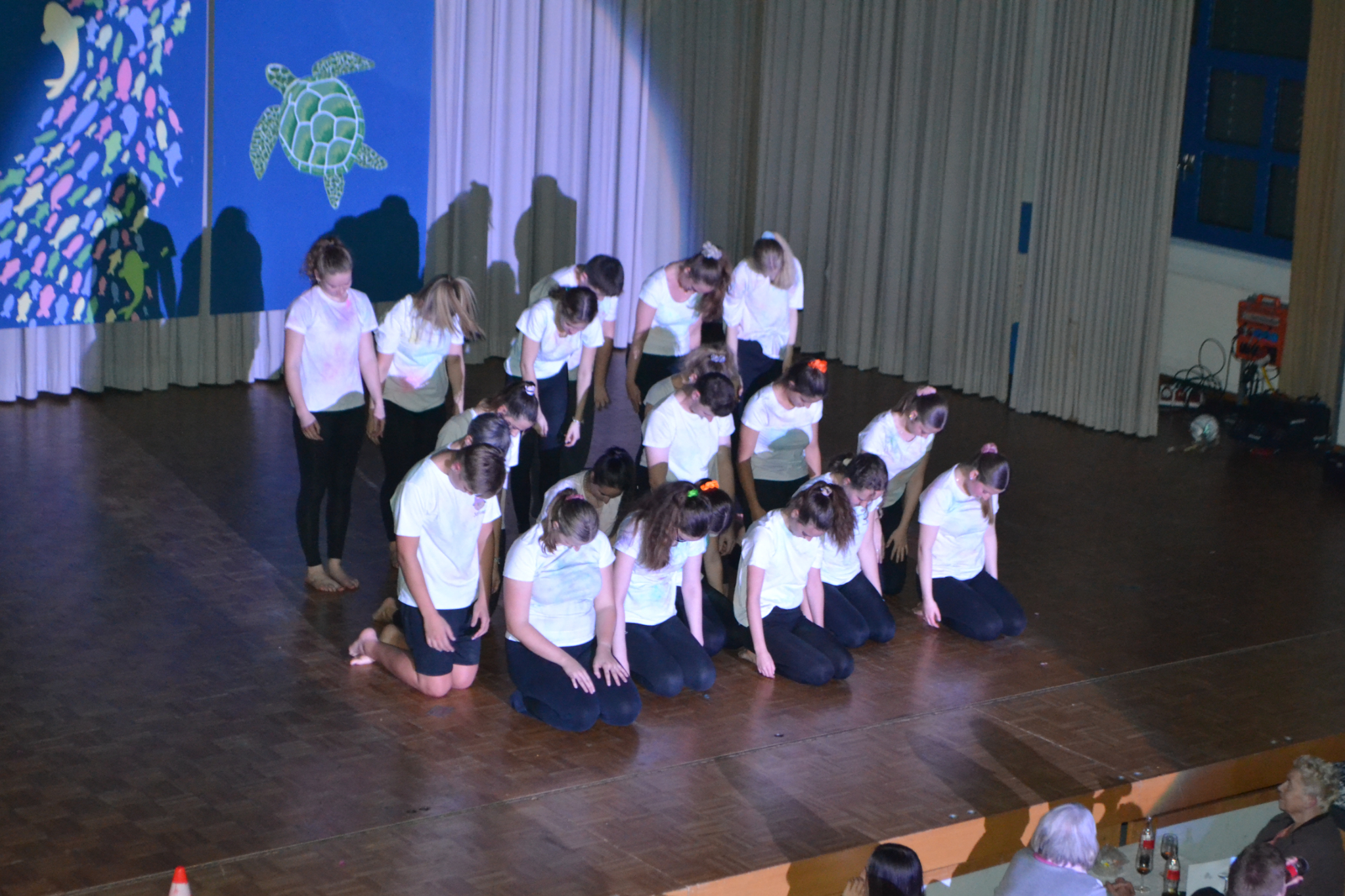 Bild2 (159)